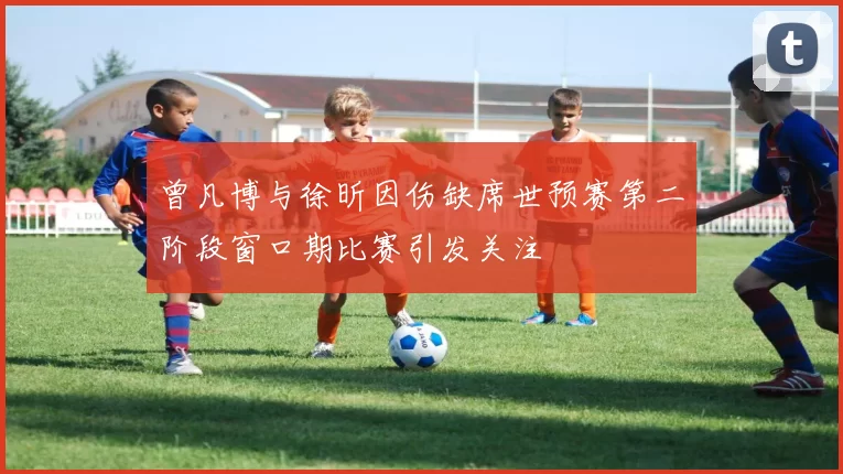 曾凡博与徐昕因伤缺席世预赛第二阶段窗口期比赛引发关注
